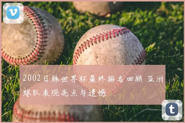 2002日韩世界杯最终排名回顾 亚洲球队表现亮点与遗憾