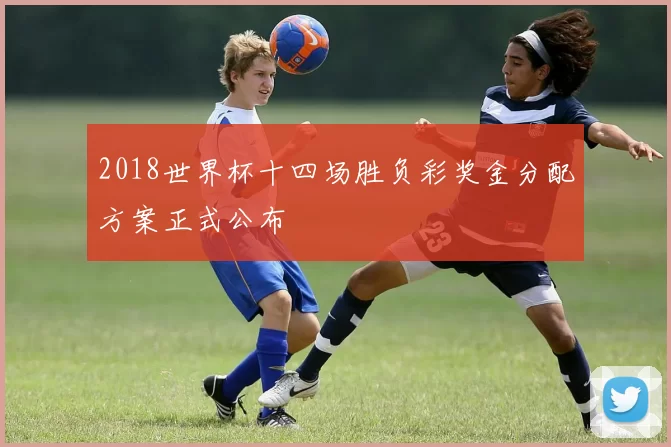 2018世界杯十四场胜负彩奖金分配方案正式公布